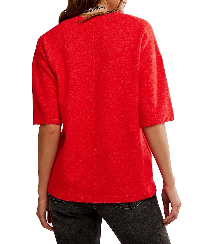 Free People Margot Crewneck Short Sleeve Sweater Top