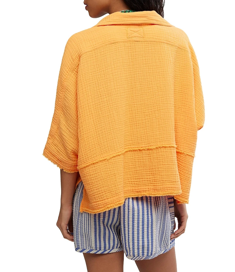 Free People We The Free Happy Days Collared Short Sleeve Button-Front Gauze Top