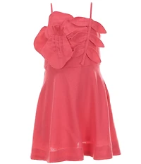 GB Little Girls 3D Floral Mini Length Skater Dress