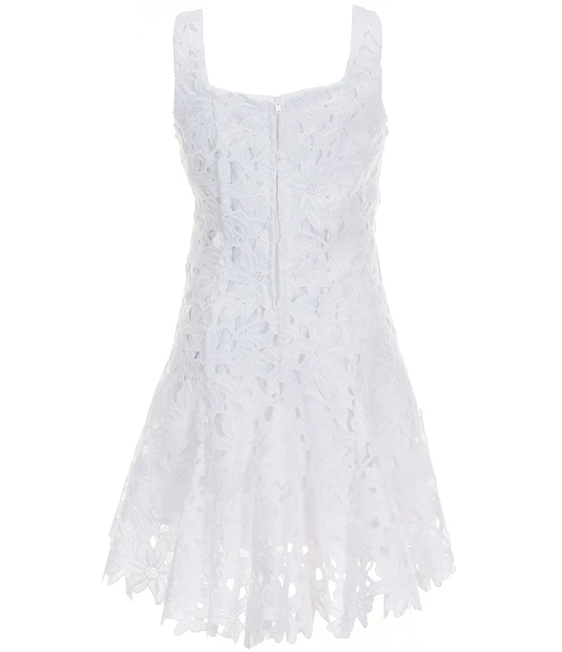 GB Big Girls Sleeveless Lace Applique Fit-and-Flare Dress