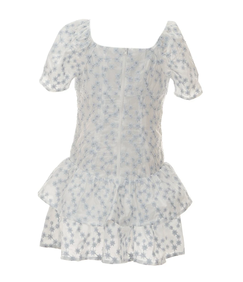 GB Little Girls Mini Embroidered Floral Lace Dress