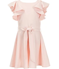 GB Little Girls Ruffle Sleeve Skater Dress