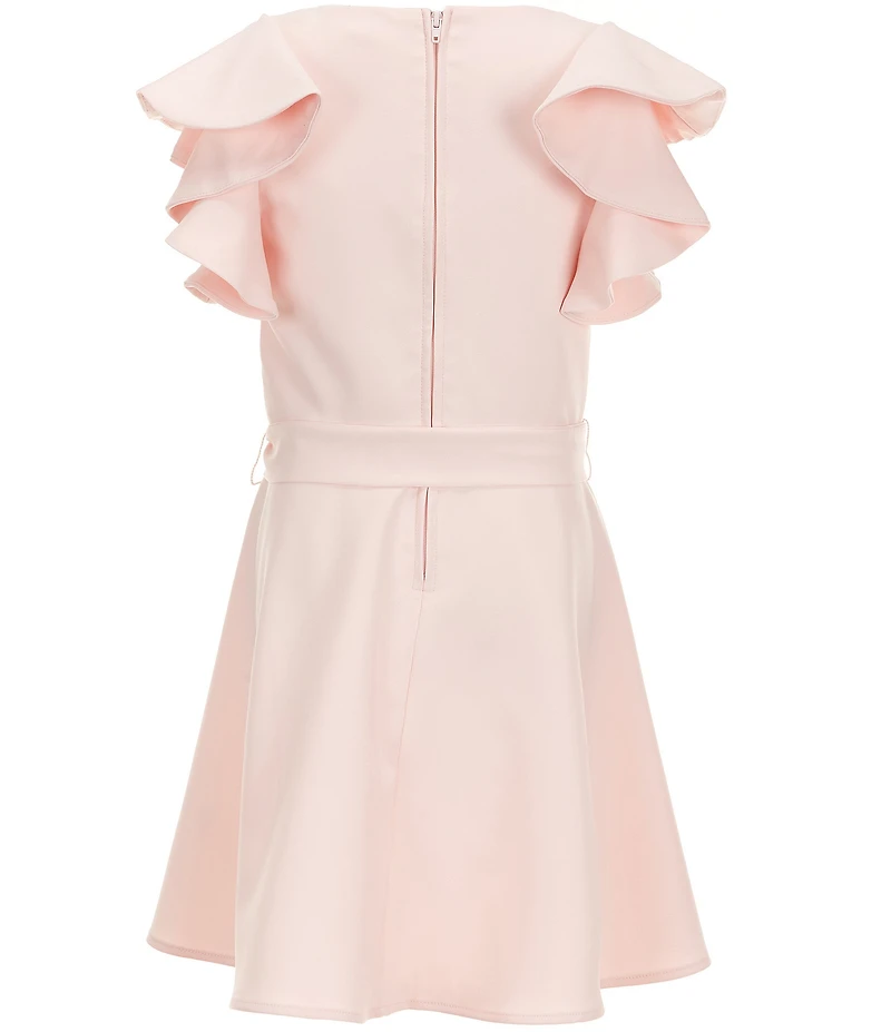 GB Little Girls Ruffle Sleeve Skater Dress
