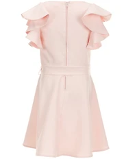 GB Little Girls Ruffle Sleeve Skater Dress