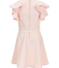 GB Big Girls Ruffle Sleeve Skater Dress