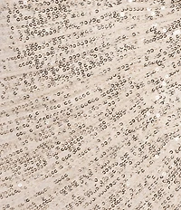 GB Sequin V-Neck Sleeveless Long Dress