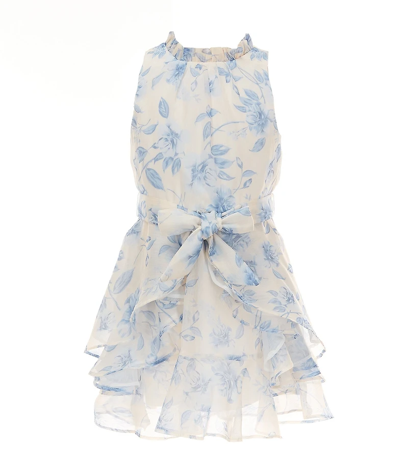 GB Social Little Girls Sleeveless Floral Print High Neck Dress