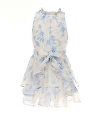 GB Social Little Girls Sleeveless Floral Print High Neck Dress