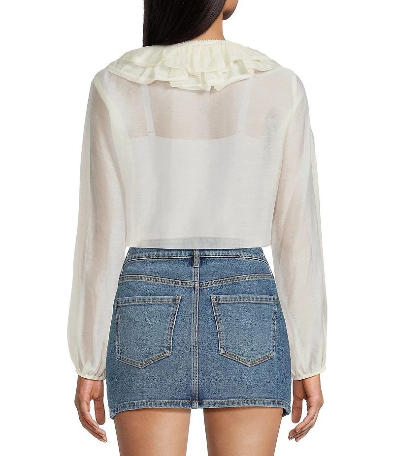 GB V-Neck Long Sleeve Ruffle Top