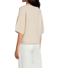 Gianni Bini Alpaca Blend Cocoon Crew Neckline Short Sleeve Sweater