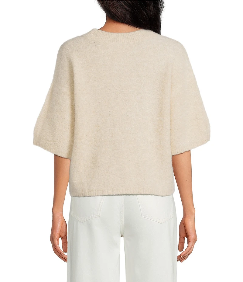 Gianni Bini Alpaca Blend Cocoon Crew Neckline Short Sleeve Sweater