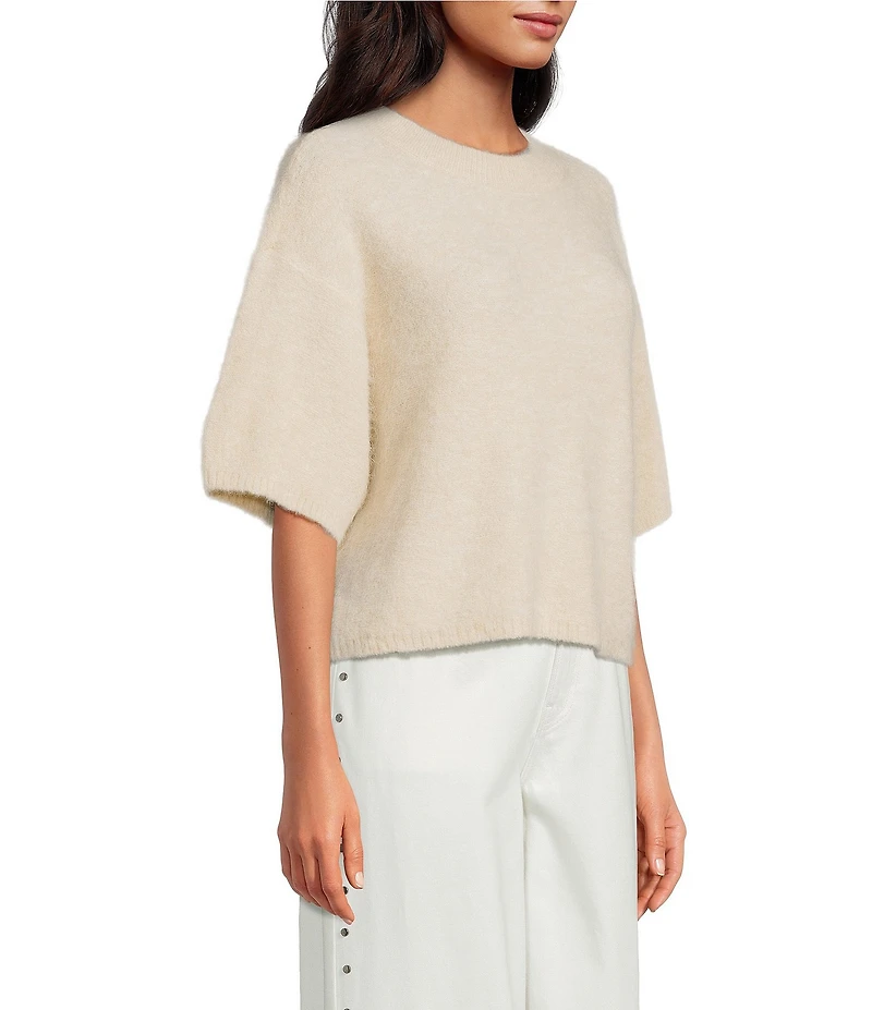 Gianni Bini Alpaca Blend Cocoon Crew Neckline Short Sleeve Sweater