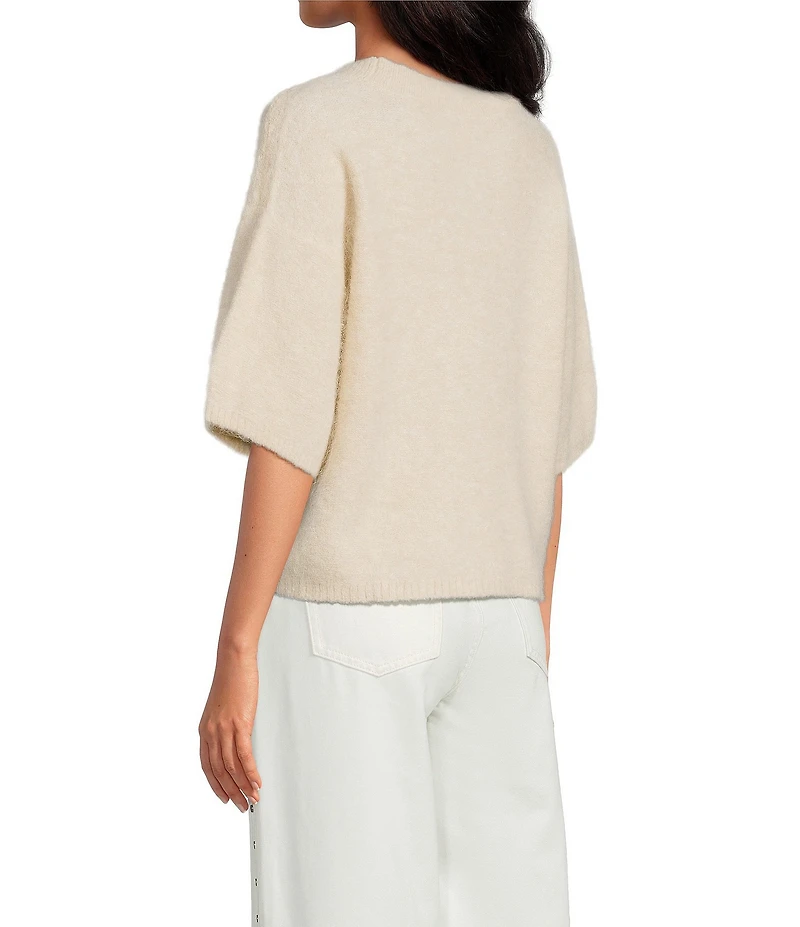 Gianni Bini Alpaca Blend Cocoon Crew Neckline Short Sleeve Sweater