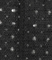 Gianni Bini Brielle Rhinestone Embellished Coordinating Tweed Jacket