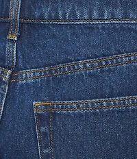 Gianni Bini Madilyn High Rise Denim Shorts