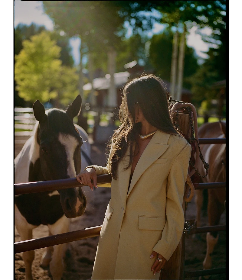 Gianni Bini x Sydney Silverman The Jenna Wool Blend Single Breasted Notch Collar Coat