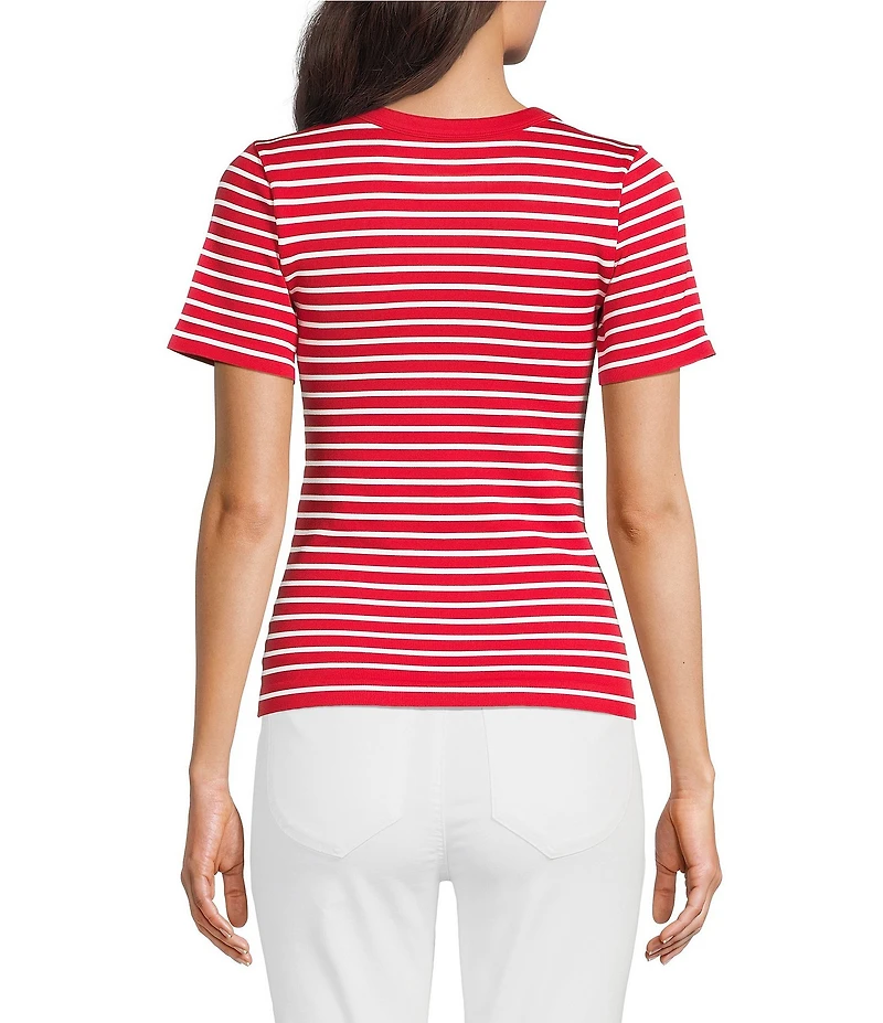 Gibson & Latimer Knit Striped Crew Neck Short Sleeve Seamless Top