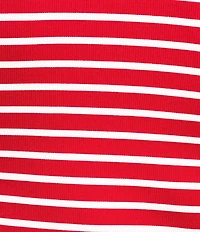 Gibson & Latimer Knit Striped Crew Neck Short Sleeve Seamless Top