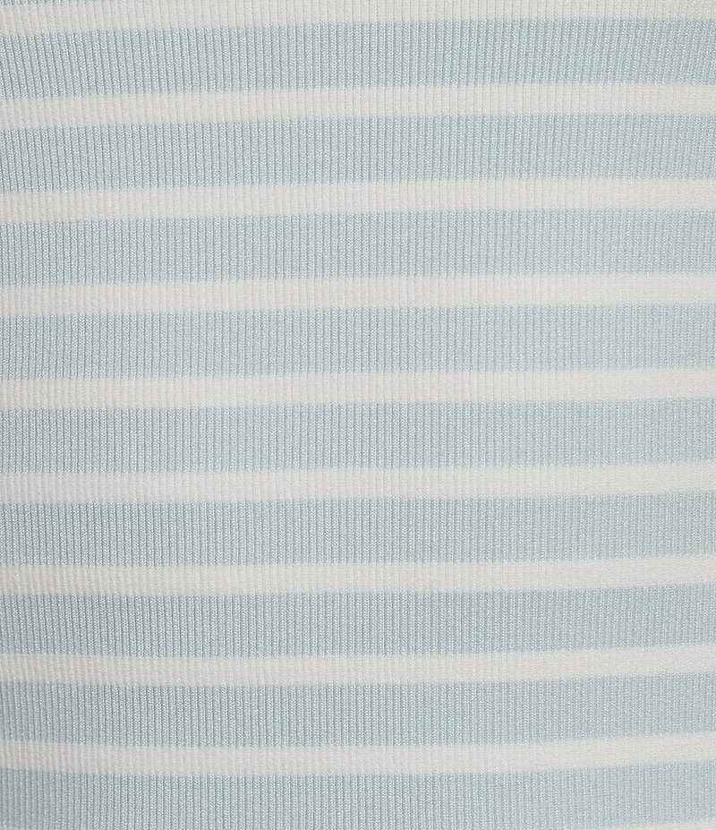 Gibson & Latimer Knit Striped Crew Neck Short Sleeve Seamless Top