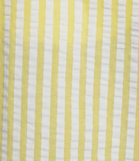 Gibson & Latimer Stripe Cotton Seersucker V-Neck 3/4 Bubble Sleeve Blouse