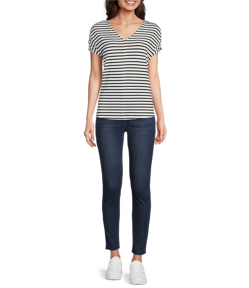 Gibson & Latimer Stripe Print Short Sleeve V-Neck Knit Shirt