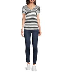Gibson & Latimer Stripe Print Short Sleeve V-Neck Knit Shirt