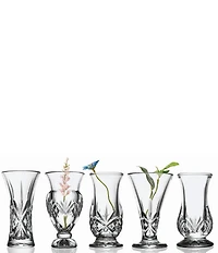 Godinger Dublin Crystal 5-Piece Bud Vase Set