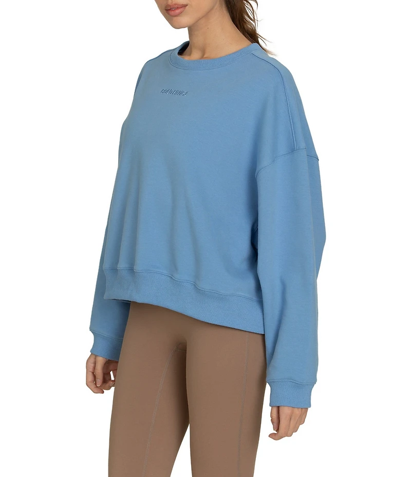 GOLD HINGE Oversized Crewneck Long Sleeve Sweater