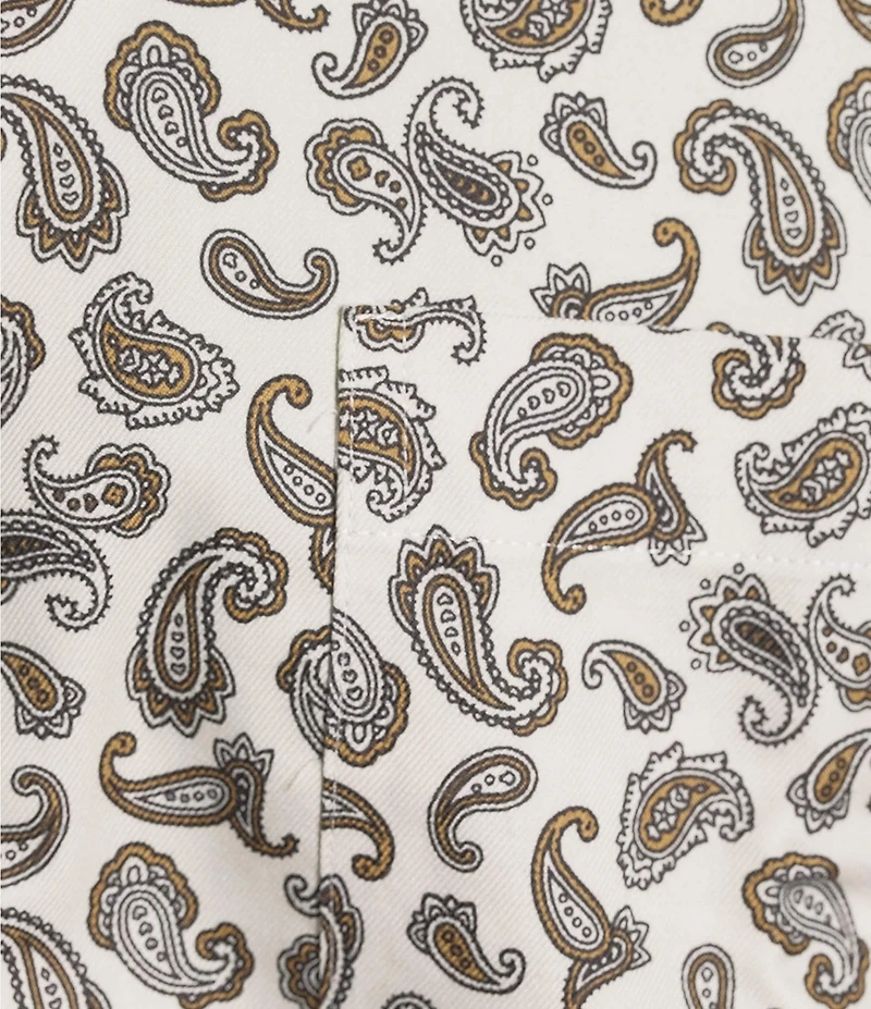 Gold Label Roundtree & Yorke Non-Iron Long Sleeve Paisley Print Twill Sport Shirt