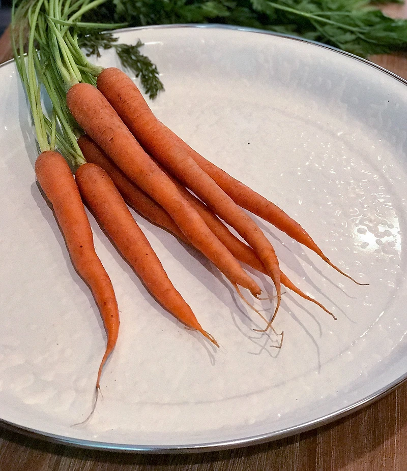 Golden Rabbit Enamelware Solid Texture Medium Tray