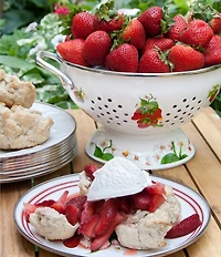 Golden Rabbit Enamelware Strawberry Colander Giftbox Set