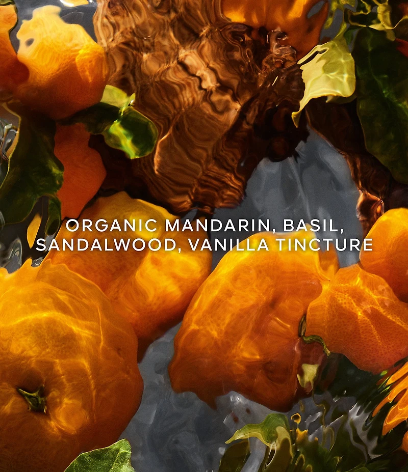 Guerlain Aqua Allegoria Mandarine Basilic Forte Eau de Parfum Gift Set