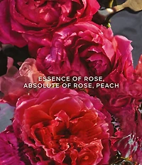 Guerlain Aqua Allegoria Rosa Rossa Forte Eau de Parfum Refillable Spray