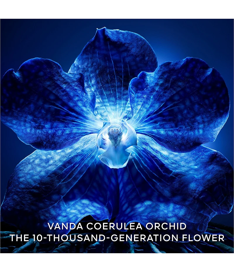 Guerlain Orchidee Imperiale The Longevity Cream Refill