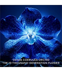 Guerlain Orchidee Imperiale The Longevity Cream Refill
