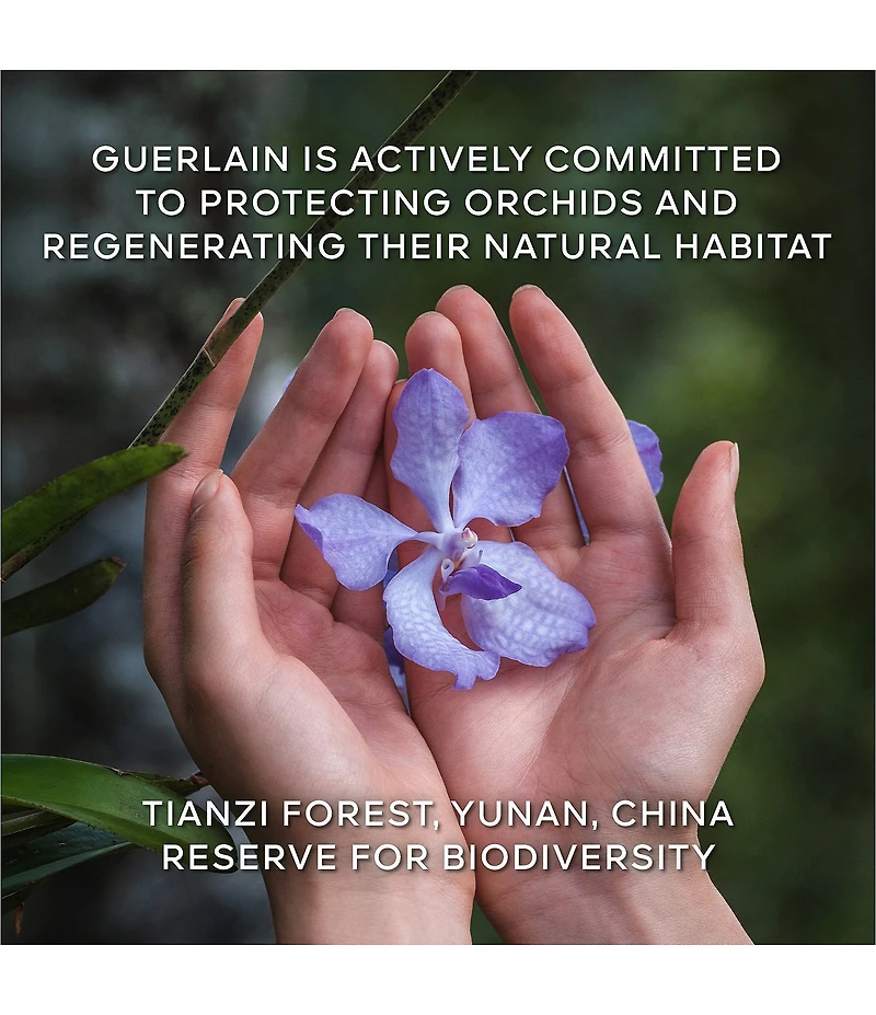 Guerlain Orchidee Imperiale The Longevity Light Cream