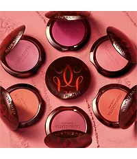 Guerlain Terracotta Powder Blush