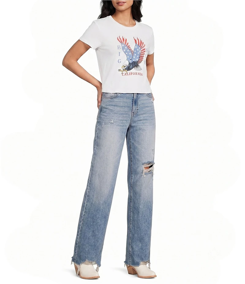 Hidden Jeans Logan Stretch Distressed Dad Jeans