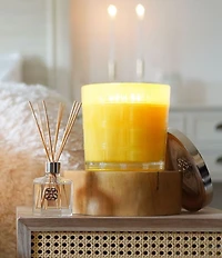 HomeWorx by Slatkin + Co. Limoncello Cupcake 5-Wick Candle, 80 oz.