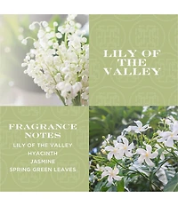 HomeWorx by Slatkin and Co. Lily of the Valley 80 oz. 5-Wick Luxe Candle