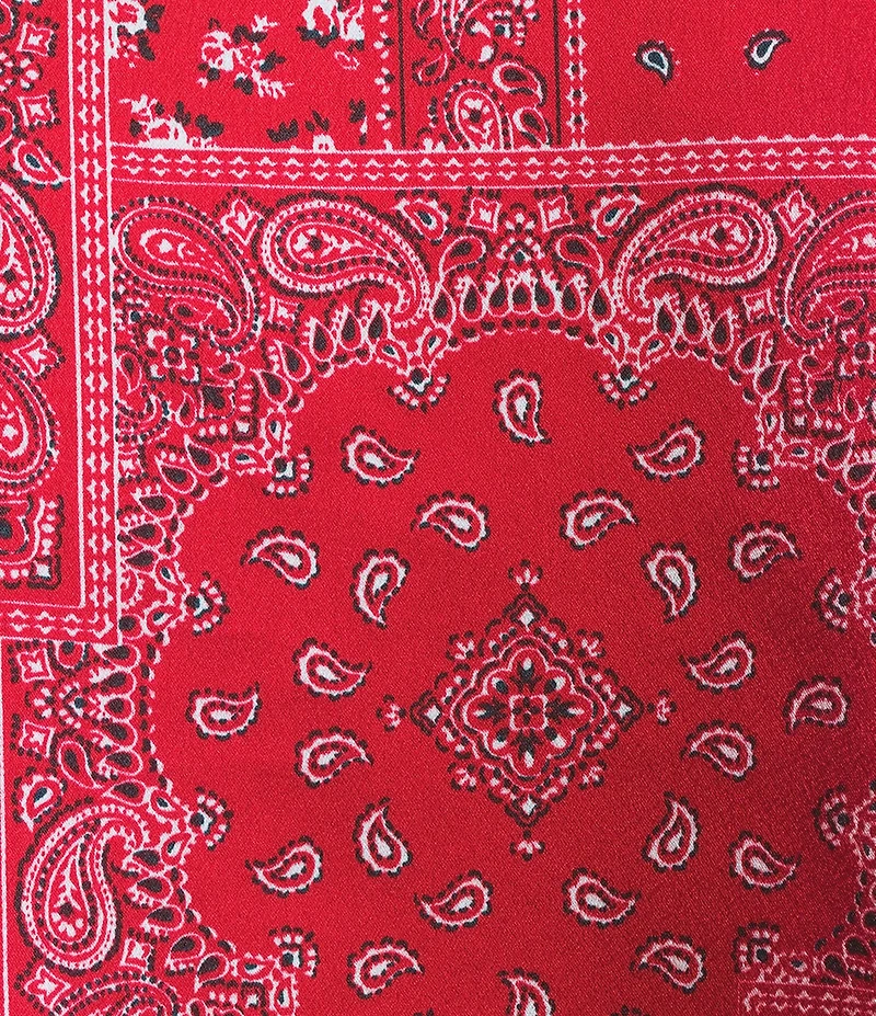 Honey & Sparkle Bandana Printed Strapless Tie Back Pointed Hem Top