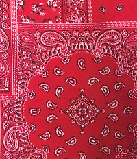 Honey & Sparkle Bandana Printed Strapless Tie Back Pointed Hem Top