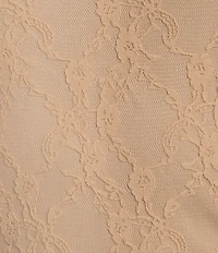 Honey & Sparkle Lace Off The Shoulder Long Sleeve Top