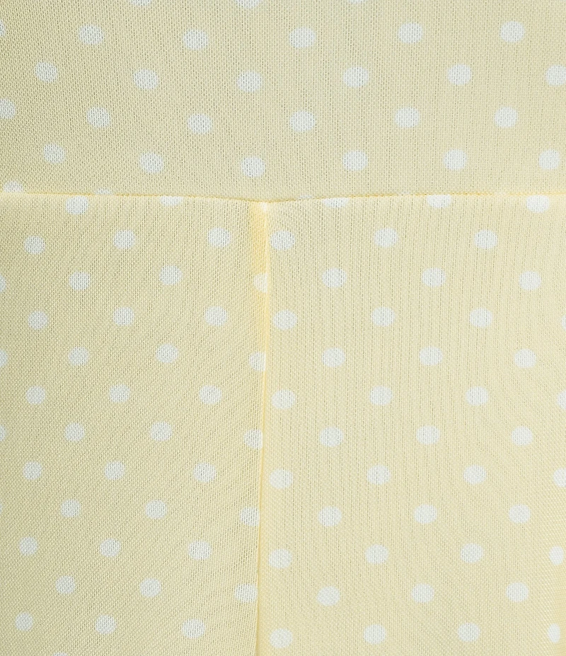 Honey & Sparkle Mesh Dot Short Ruffle Sleeve Print Mini Babydoll Dress