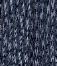 Honey & Sparkle Stripe Pleated Skirt