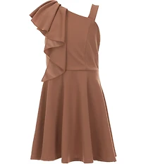 Honey and Rosie Big Girls One-Shoulder Ruffle Fit & Flare Dress