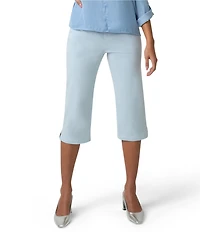 HUE Spring Stripe Pedal Pusher Leggings