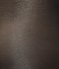 HUE Ultimate Silk Tights