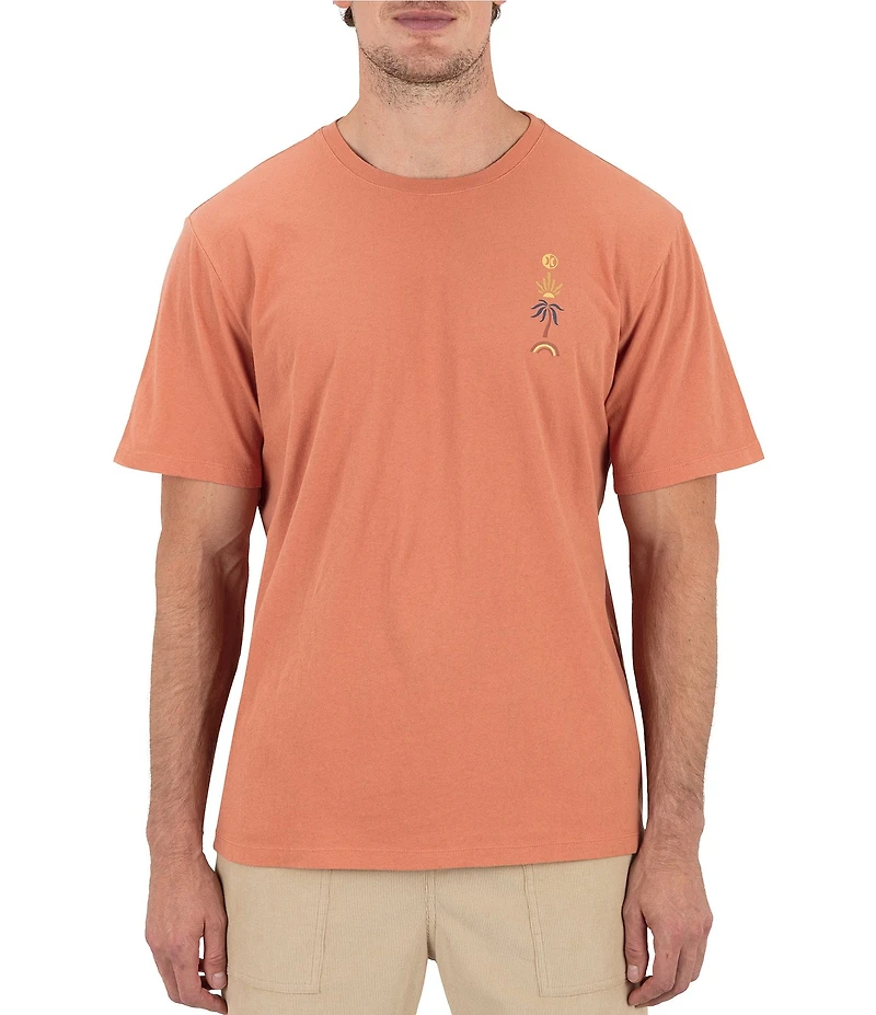 Hurley Short Sleeve Valley Of Water T-Shirt