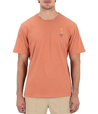 Hurley Short Sleeve Valley Of Water T-Shirt